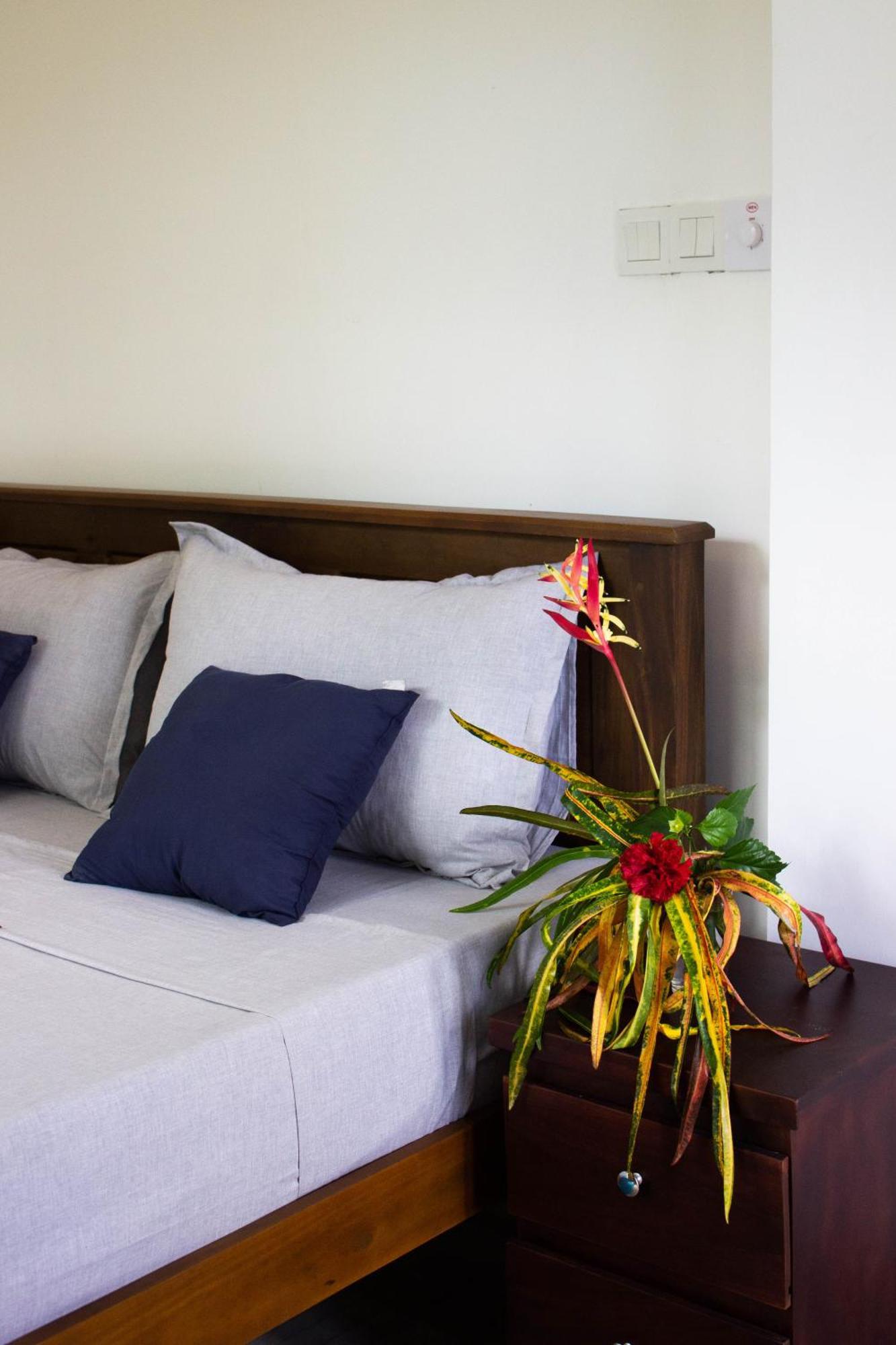 Uralsurf House Hotel Weligama Exterior photo